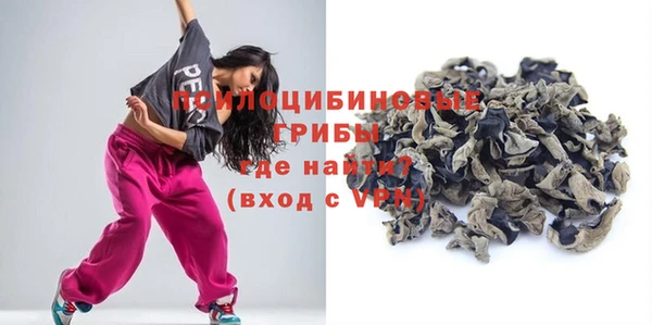 apvp Пересвет