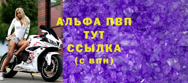 шишки Белоозёрский