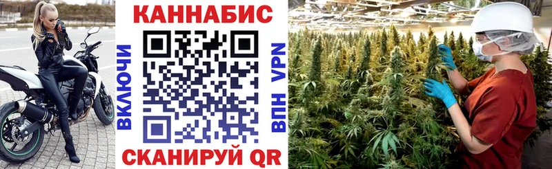 Бошки Шишки White Widow  магазин  наркотиков  Новый Уренгой 